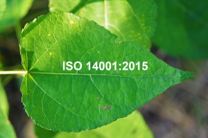 Szkolenie ISO 14001:2015.